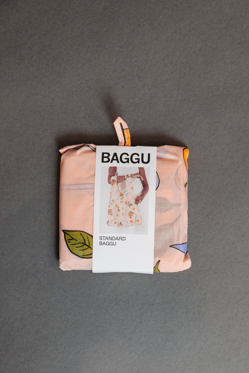 Baggu Standard Reusable Bag Apricots and Ribbons