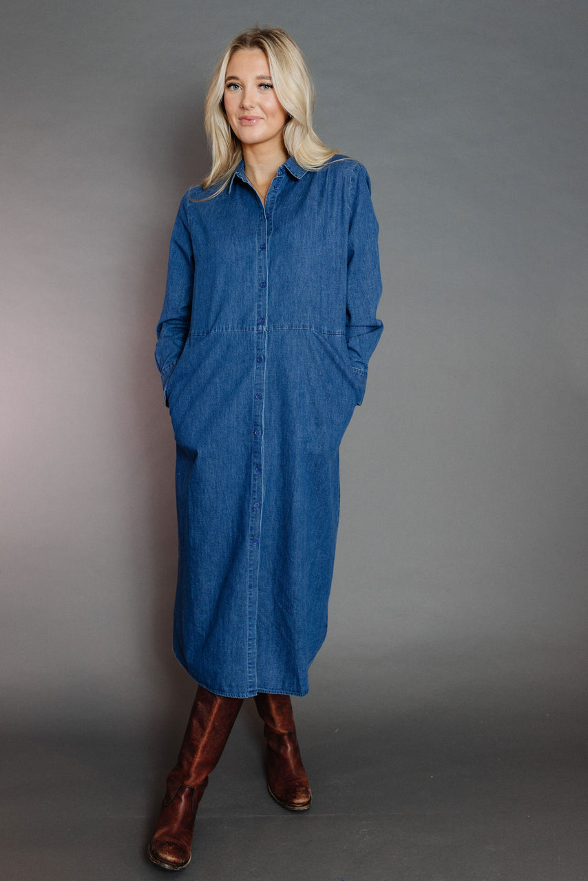 Danyelle Denim Dress