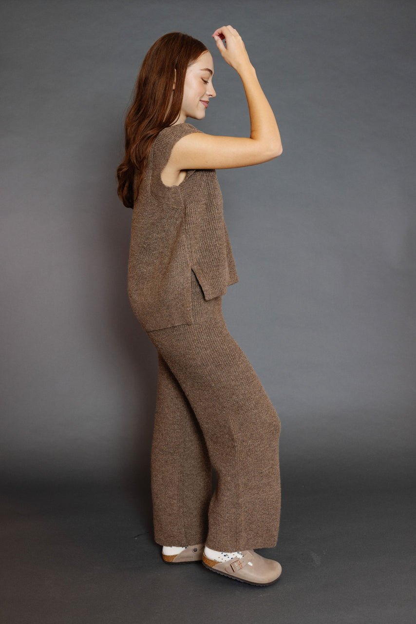 Lexi Sweater Pants in Brown